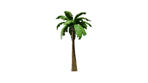 Archive recovery: terminal palm tree still